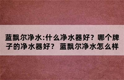 蓝飘尔净水:什么净水器好？哪个牌子的净水器好？ 蓝飘尔净水怎么样